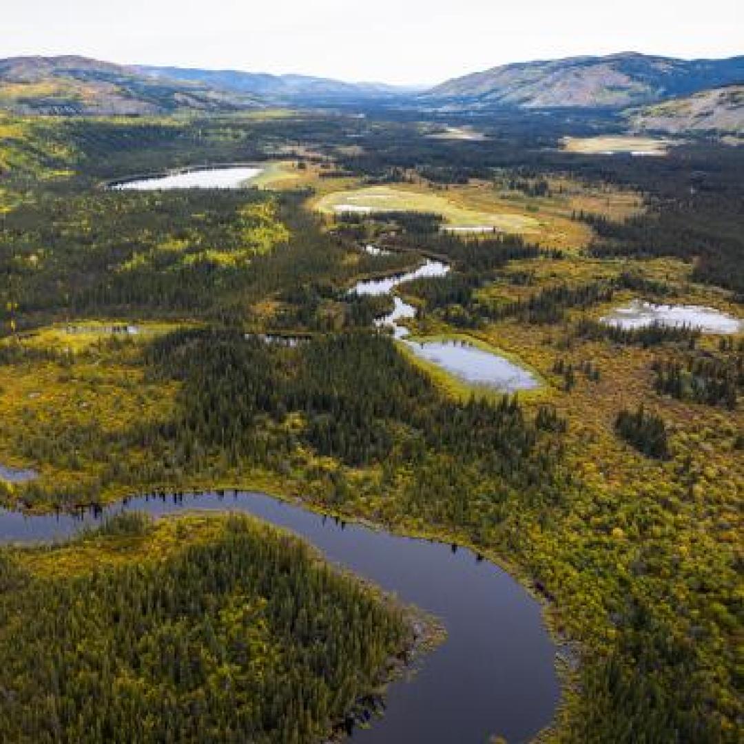 Aerial view of the Nordenskiold River (Tsǟlnjik Chú) south of Carmacks.